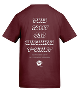 This is My Car Washing T-shirt