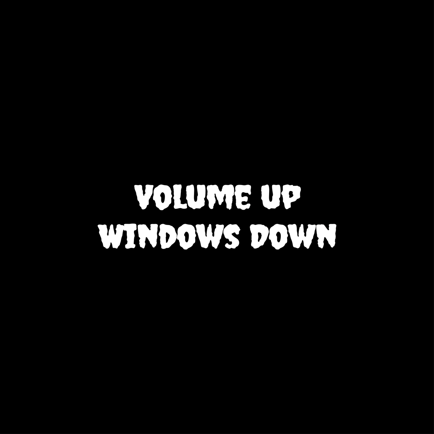 Volume Up Windows Down - Wing Mirror Sticker